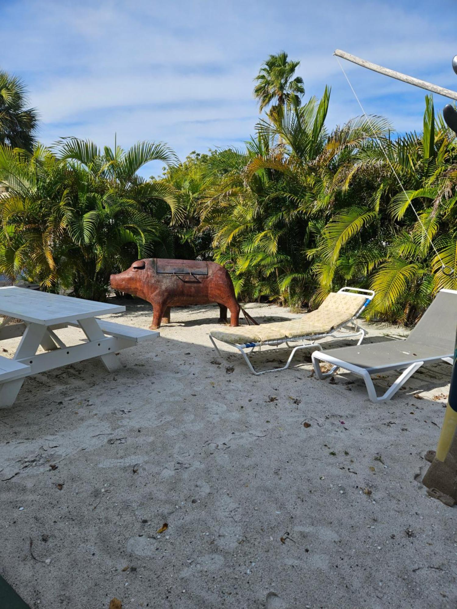 Oasis Palms Resort เซนต์พีทบีช ภายนอก รูปภาพ